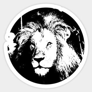 Monochrome Black White Lion Sticker